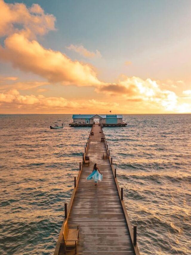 anna maria