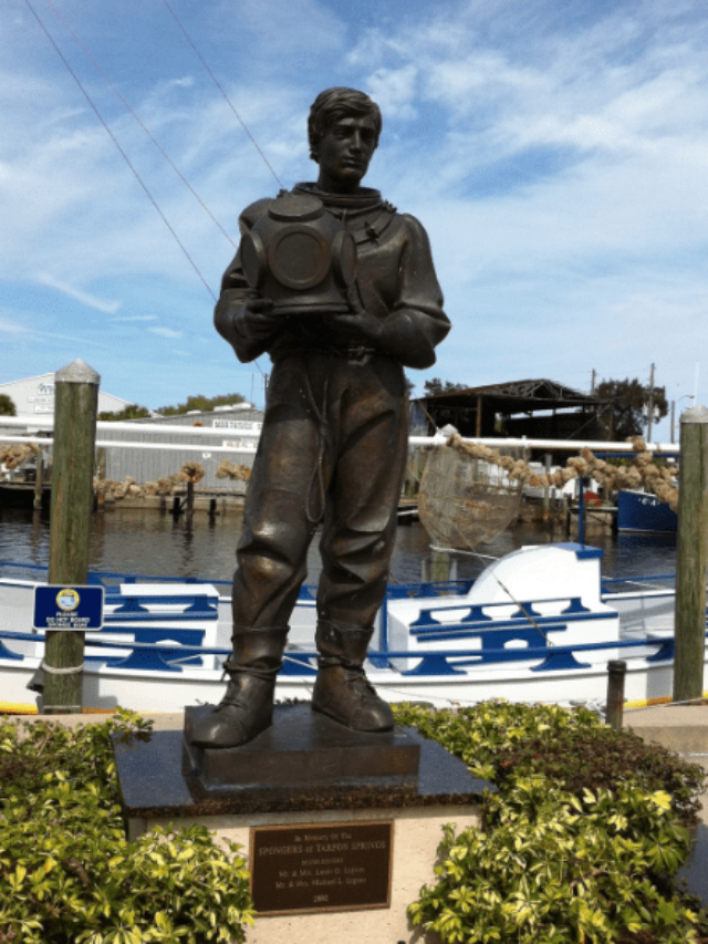 tarpon spring