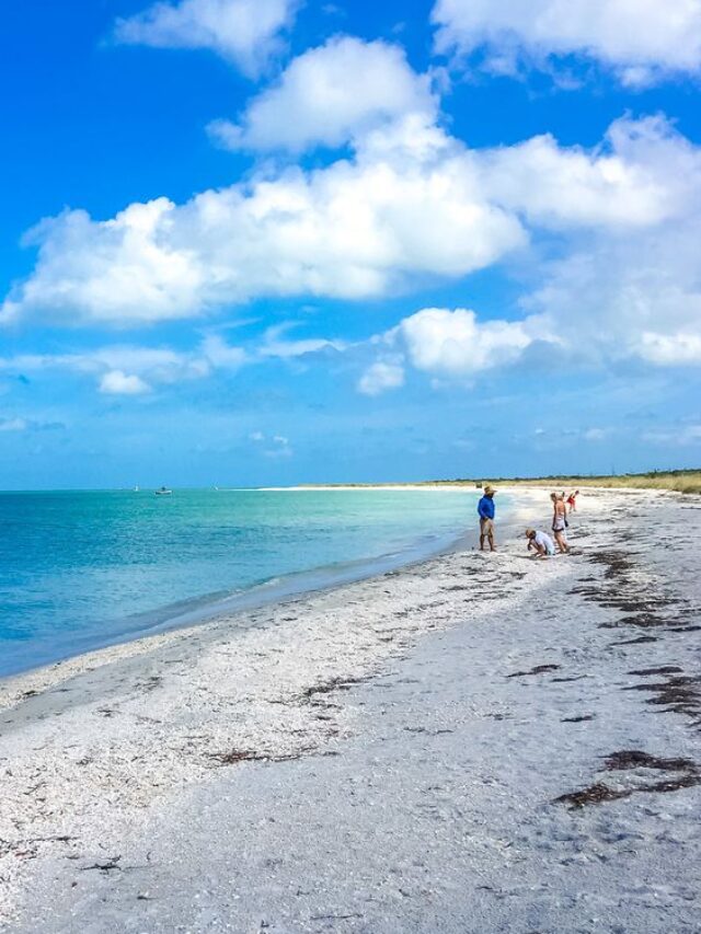 CAYO COSTA