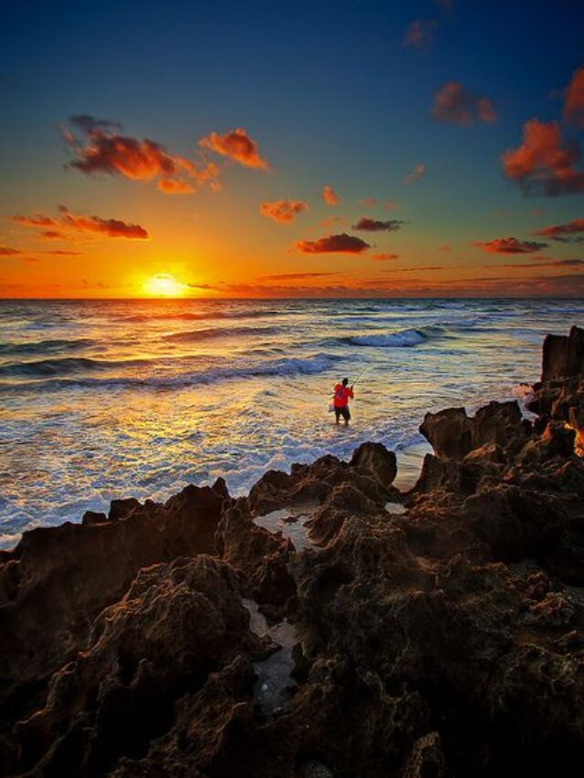 Hutchinson Island
