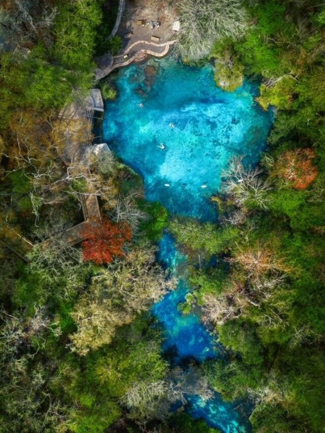 Ichetucknee Springs State Park