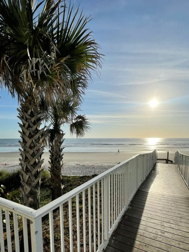 New Smyrna Beach florida
