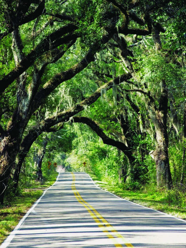 Tallahassee