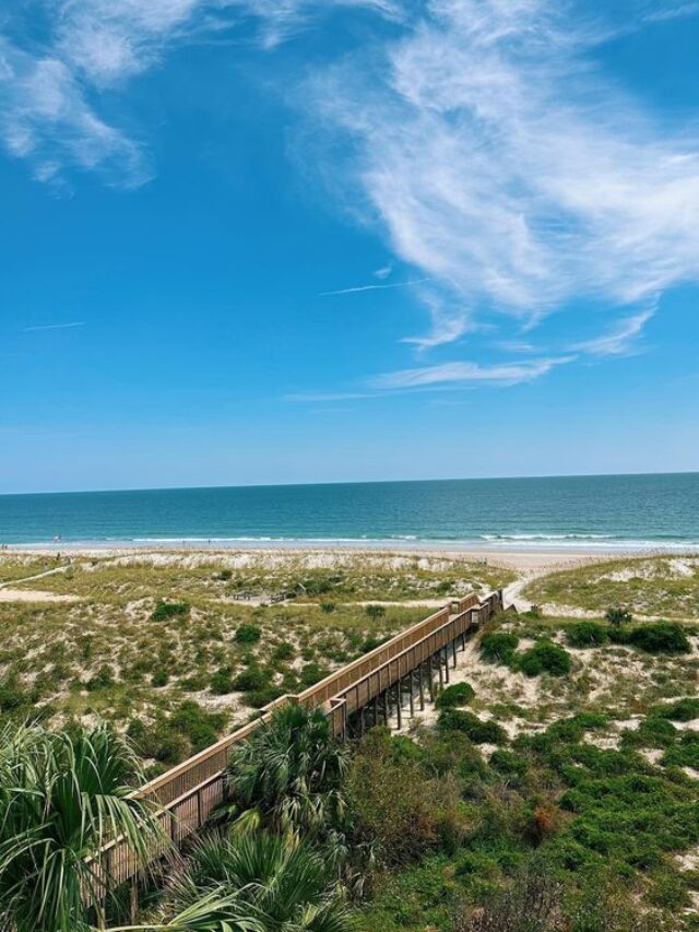 Amelia island
