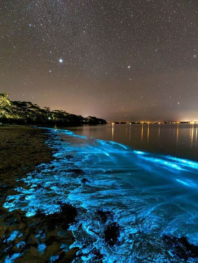 Beach at night
