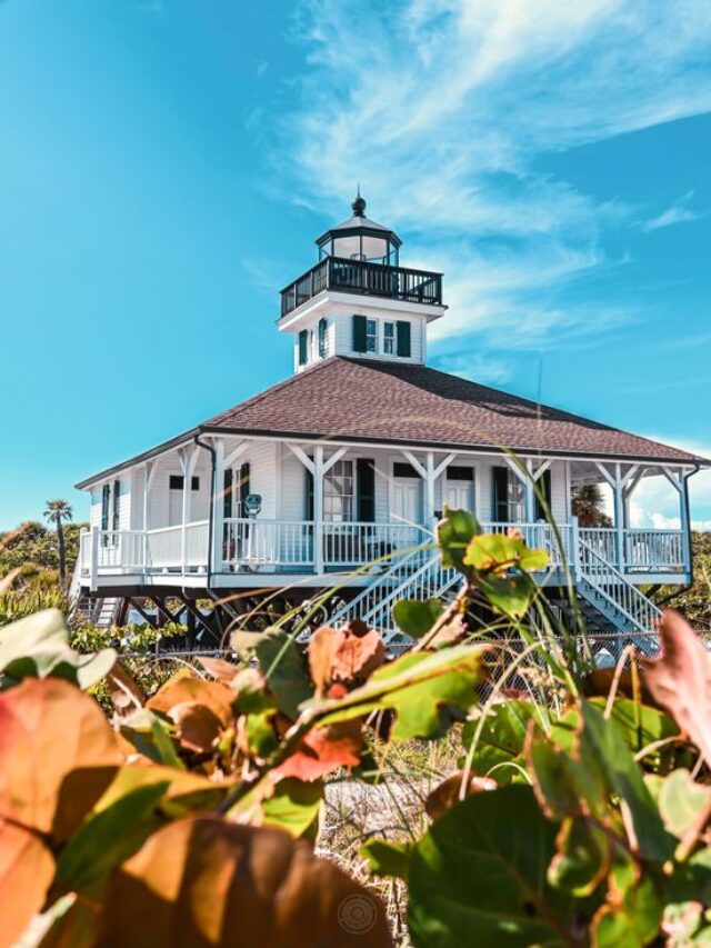 Boca grande