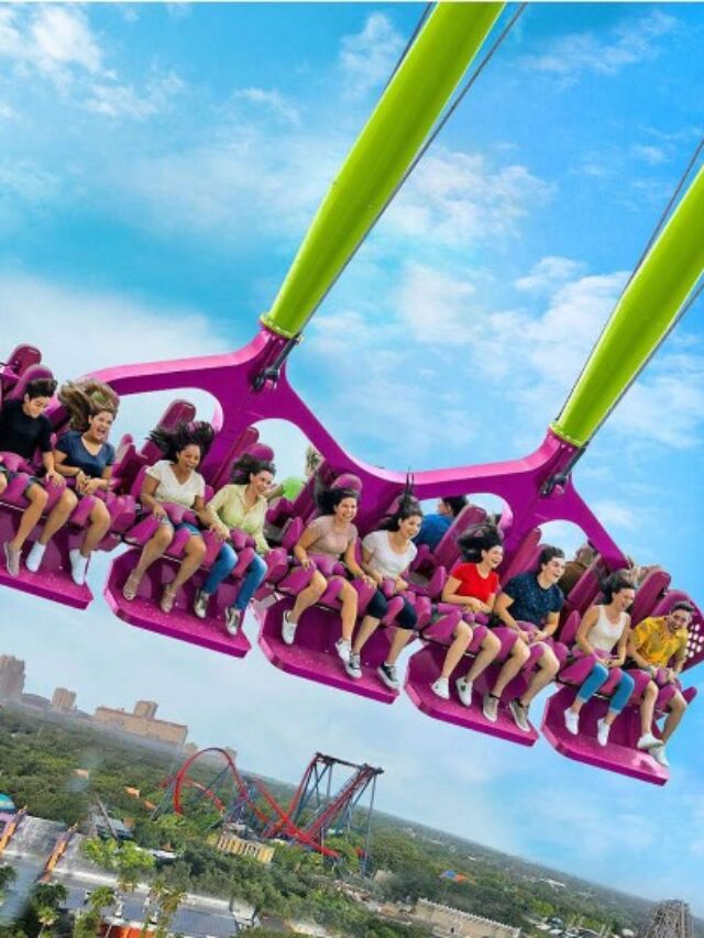 busch