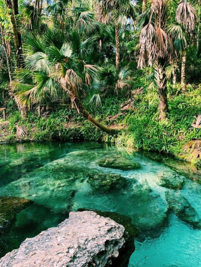 florida park