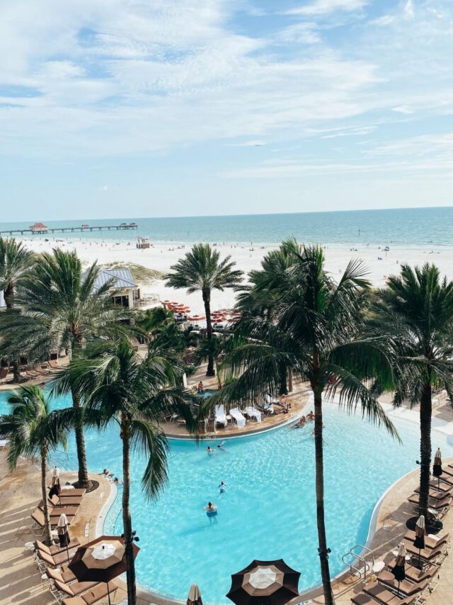 tampa bay