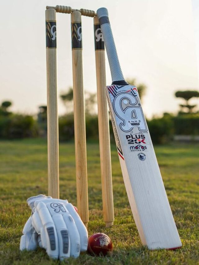 8 Best Cricket Bat Shop in Meerut with Price List
